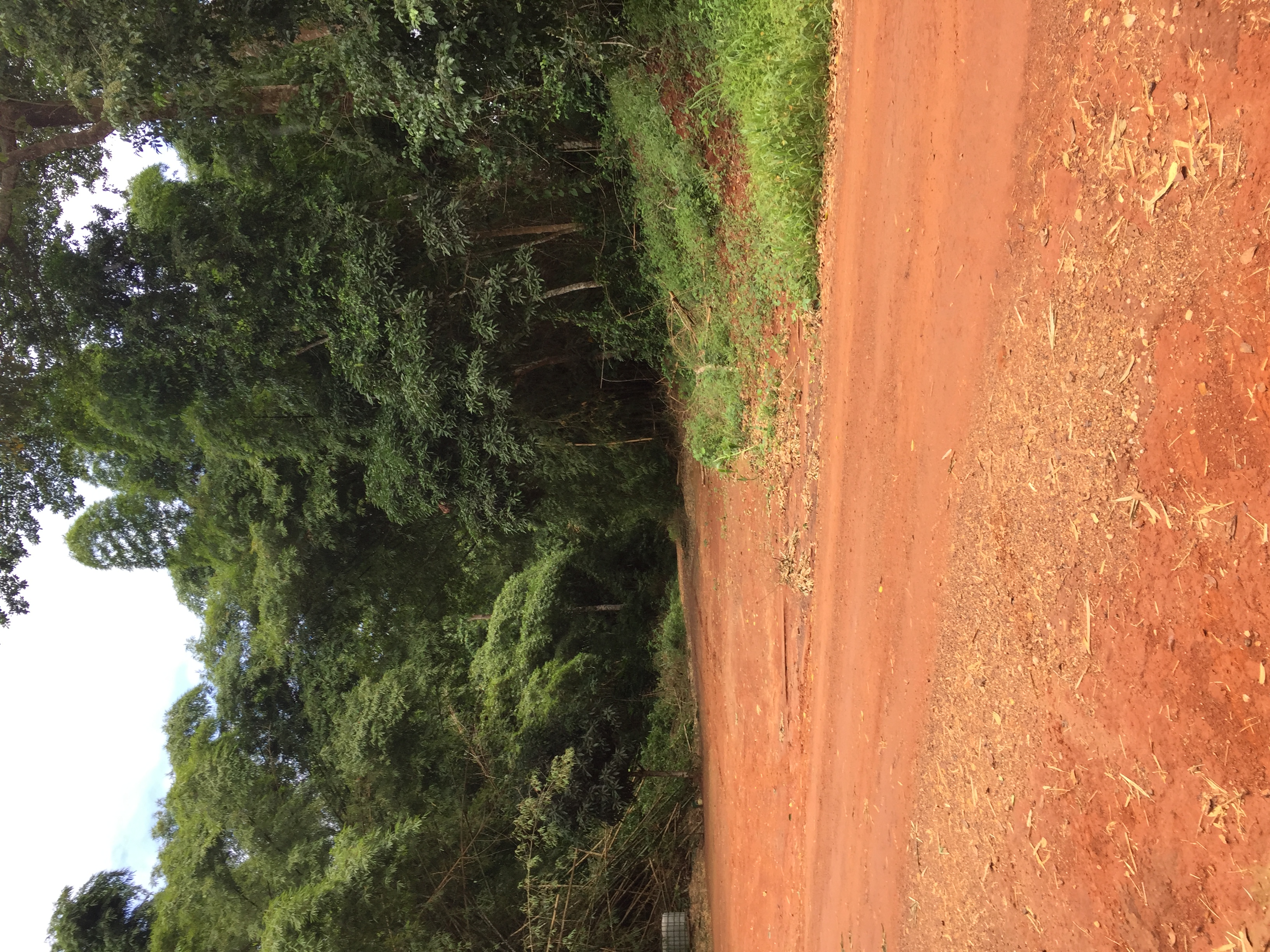 image Visite de site n'gatty